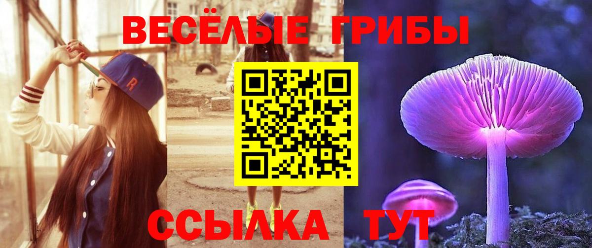 Галлюциногенные грибы GOLDEN TEACHER  Галлюциногенные грибы мицелий  Аксай  Вход с VPN 